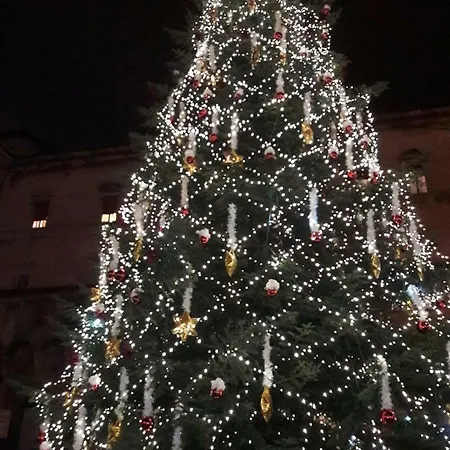Central Charming *